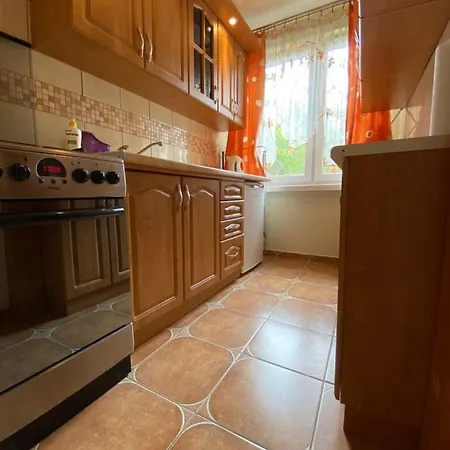 Ξενοδοχείο Slomiana *